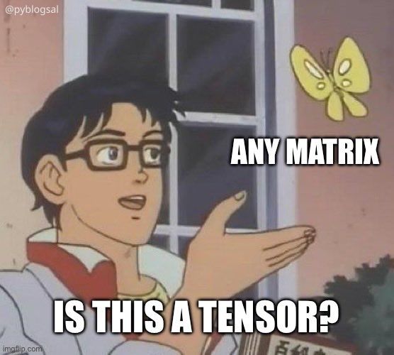 Any matrix. Is this a tensor?